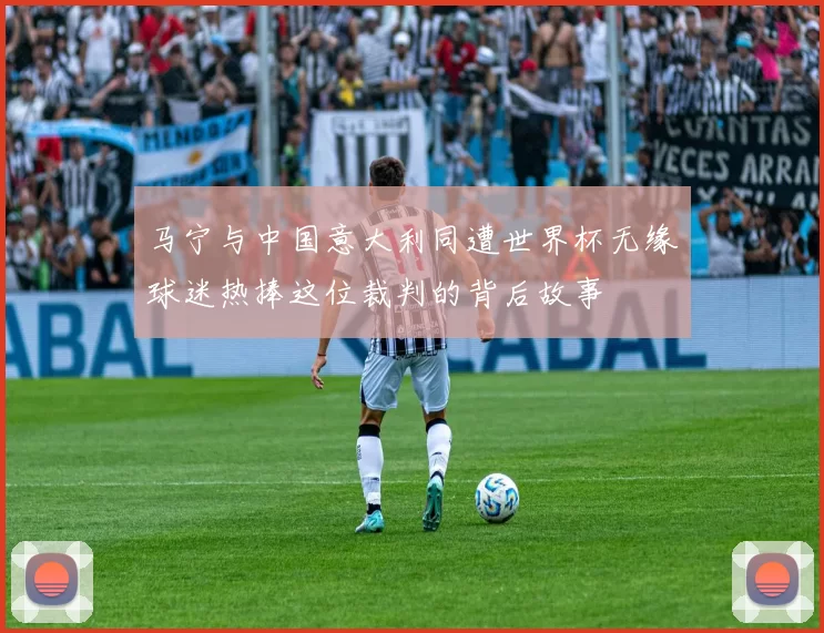 马宁与中国意大利同遭世界杯无缘球迷热捧这位裁判的背后故事